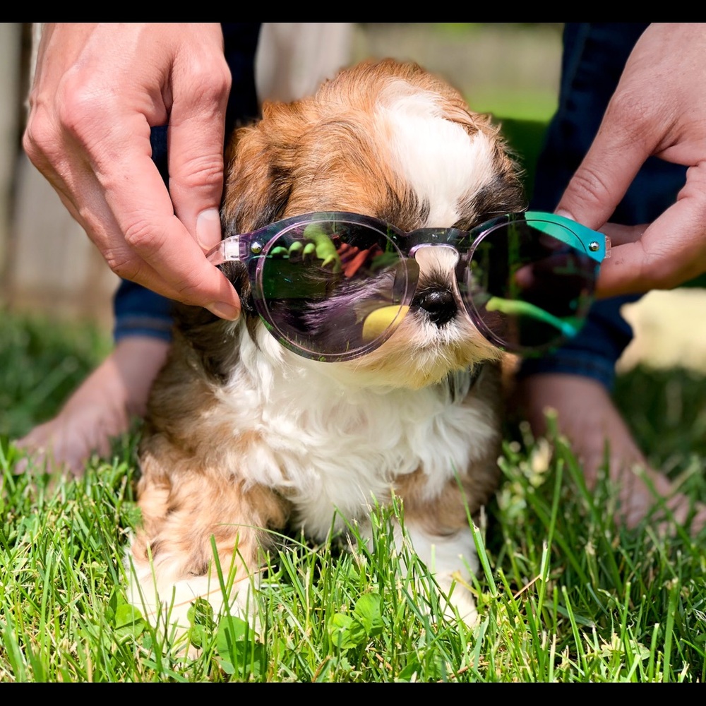 Meet your Posher, Eric